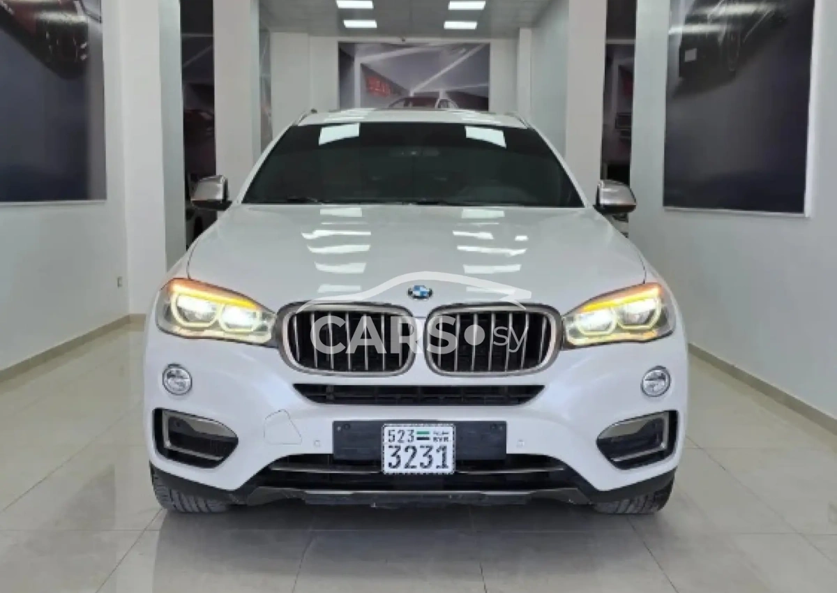 BMW X6 <span></span>
