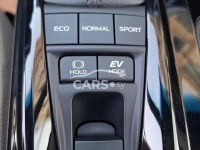 Toyota Camry <span></span>