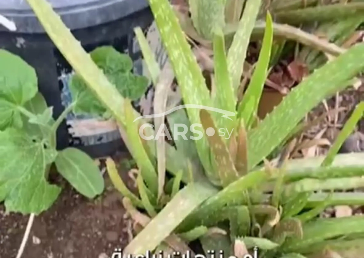 Audi A4 <span></span>