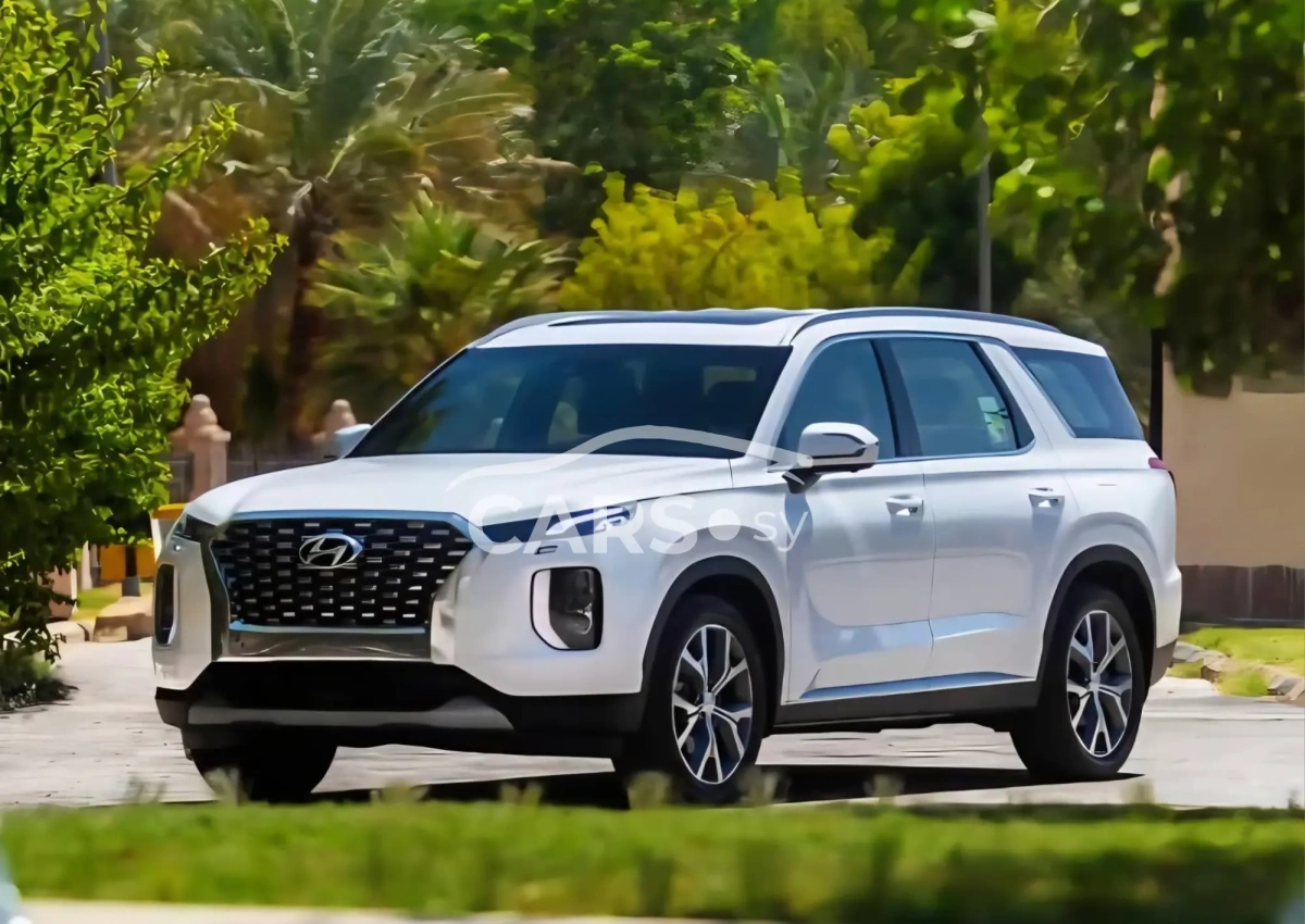 Hyundai Palisade <span></span>
